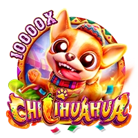 CHILIHUAHUA - IDAGENT138