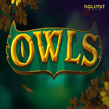 Owls - IDAGENT138