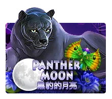 Panther Moon - IDAGENT138
