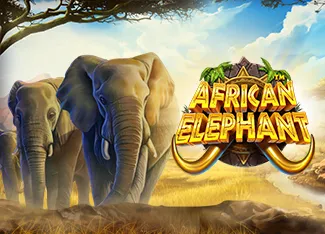 African Elephant - IDAGENT138